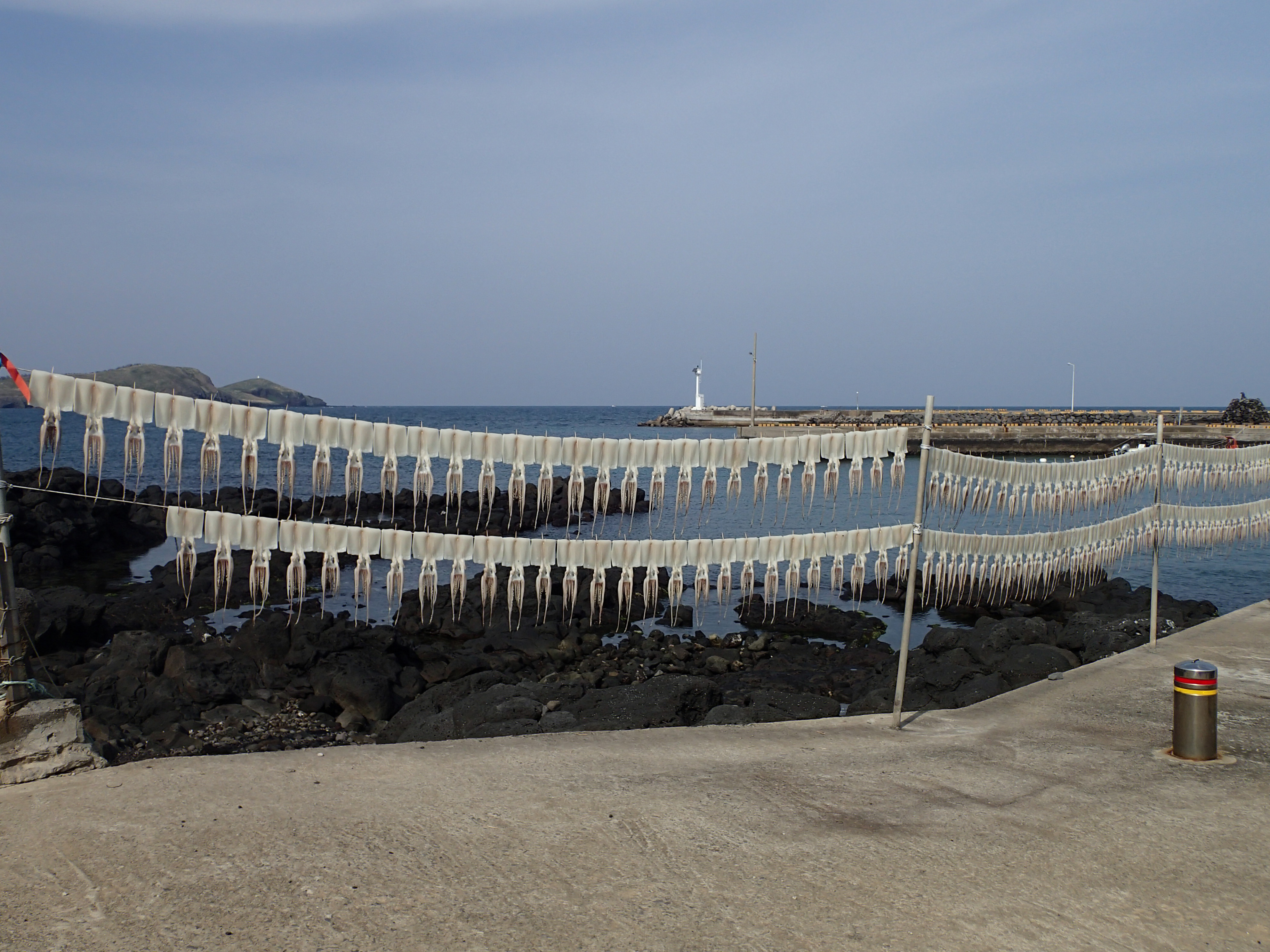 14 Squid drying.JPG